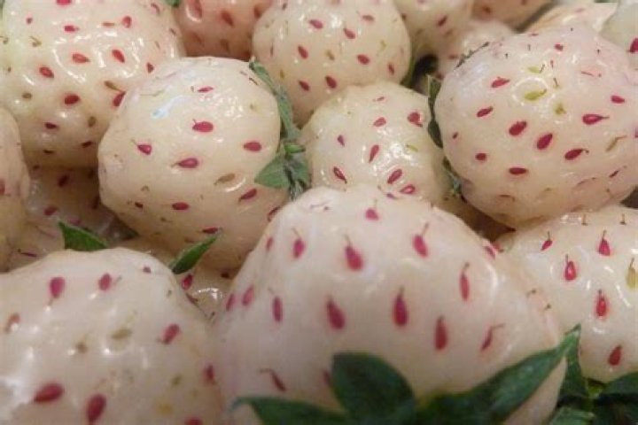 10 Pineberries Nutrition Facts - Facts.net