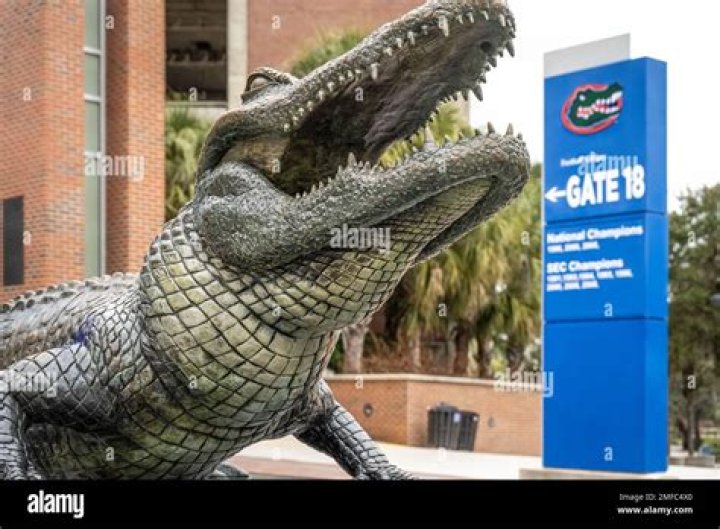 12 Facts About Art And Culture In Gainesville, Florida