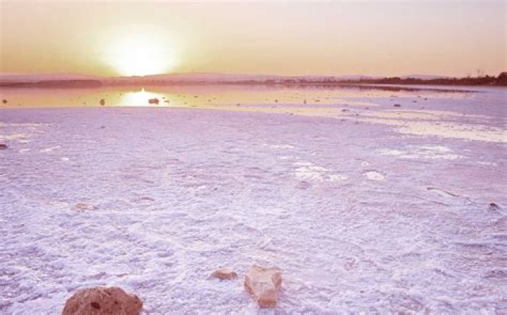 14 Unbelievable Facts About Larnaca Salt Lake
