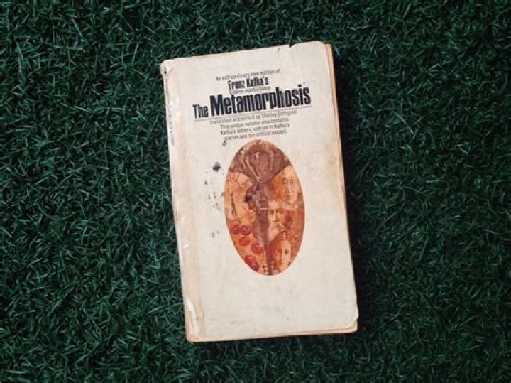 15 Captivating Facts About The Metamorphosis - Franz Kafka