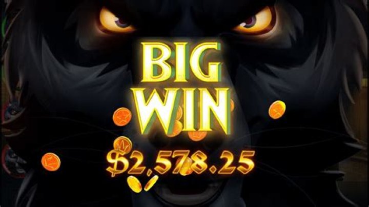 15 Facts About Werewolf - Facts.net