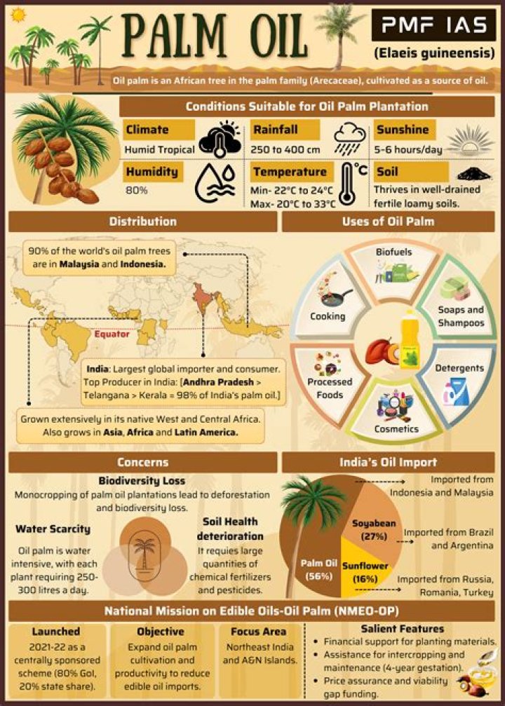 16 Mind-blowing Facts About Palm