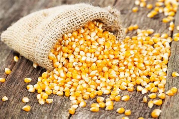 18 Popcorn Kernels Nutrition Facts