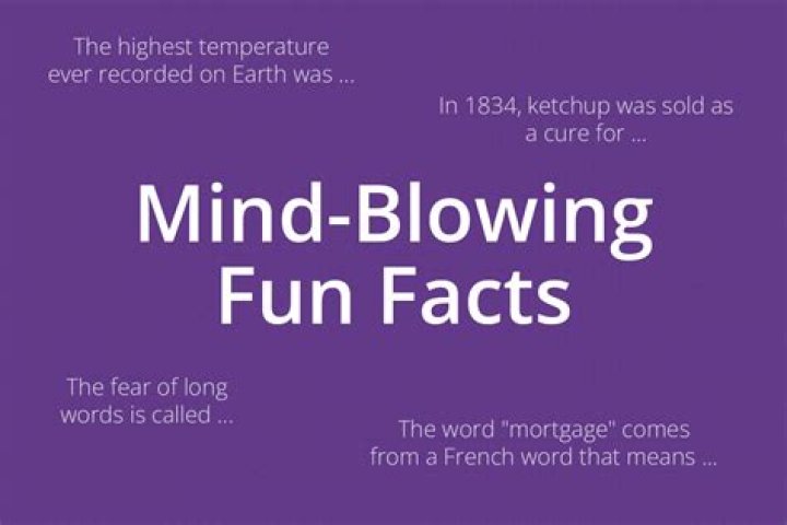 19 Mind-blowing Facts About Baker