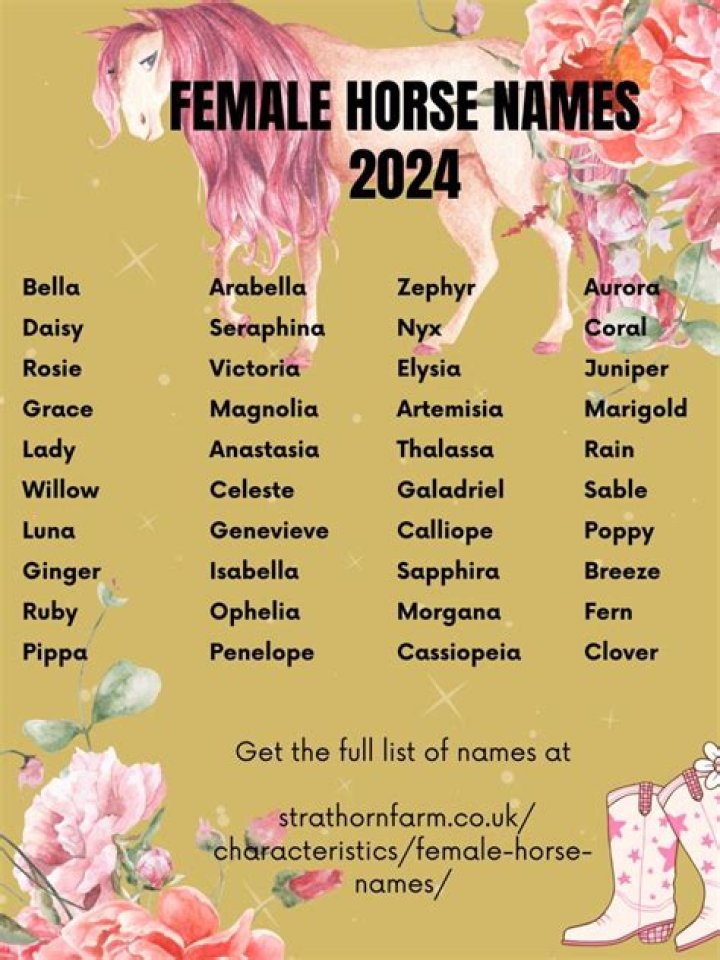 200+ Graceful Female Horse Names