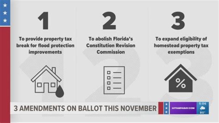 2020 Election | What amendments on the Georgia ballot?