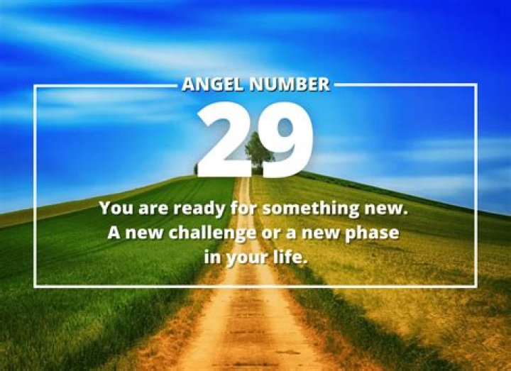 29 Angel Number Meaning - Pulptastic
