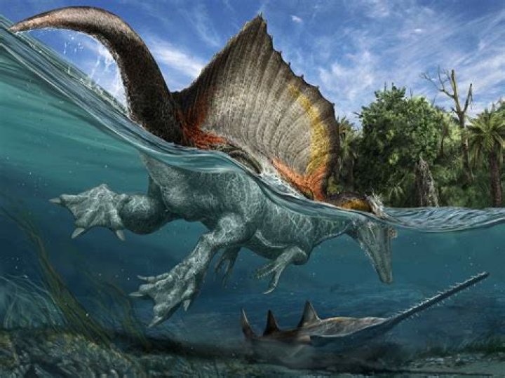 30 Interesting Pterodactyl Facts from the Jurassic Age