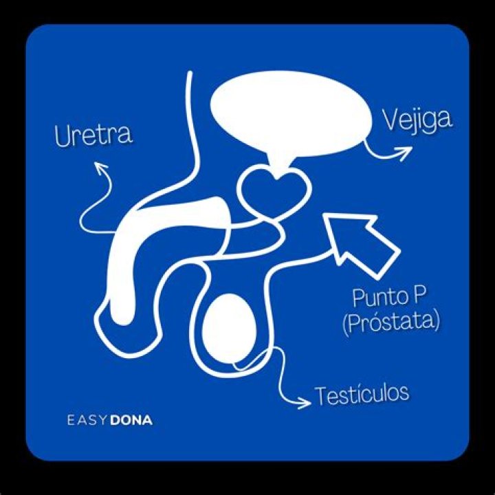 4 posiciones con las que llegas siempre al punto G