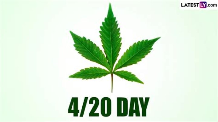 420 Day 2023: What is the true origin of this day?