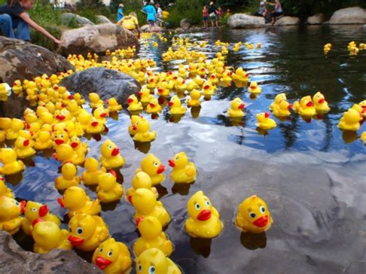 8 Unbelievable Facts About DuckFest Duck Derby