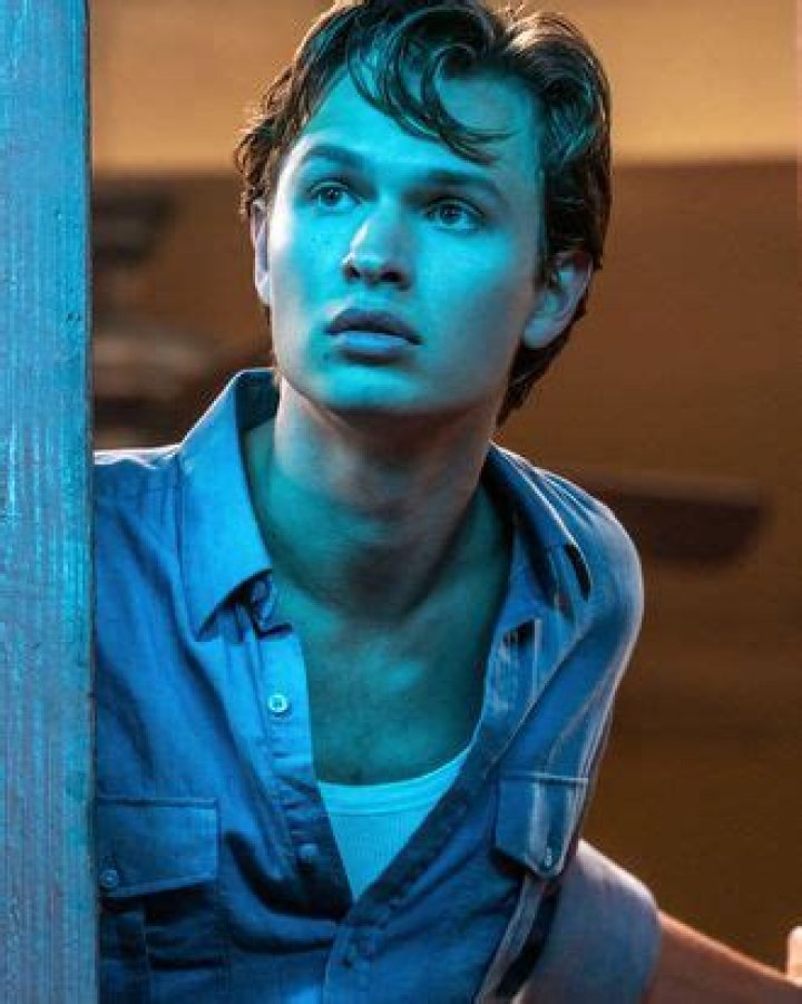 A Timeline of the Allegations Against Ansel Elgort