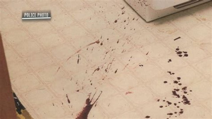 Amanda Plasse Crime Scene Photos – The Haunting Evidence