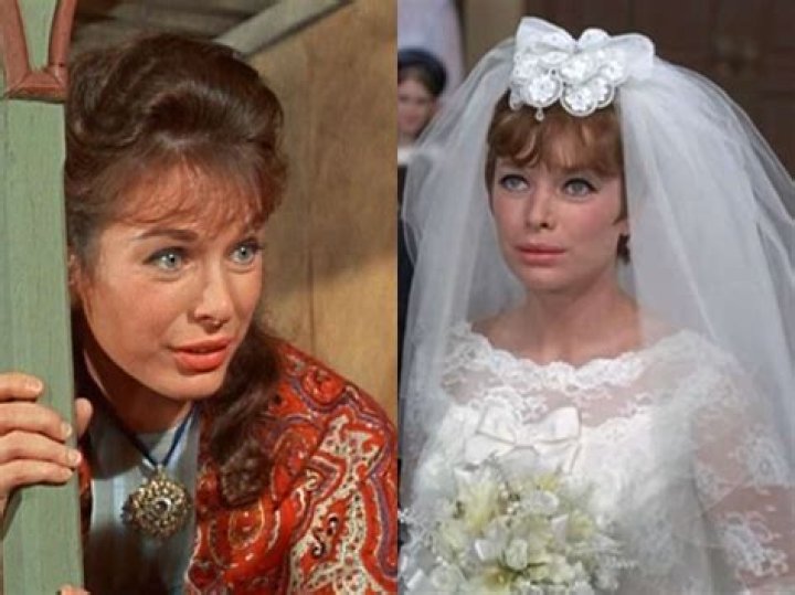 Aneta Corsaut Biography, Age, Height, Husband, Net Worth