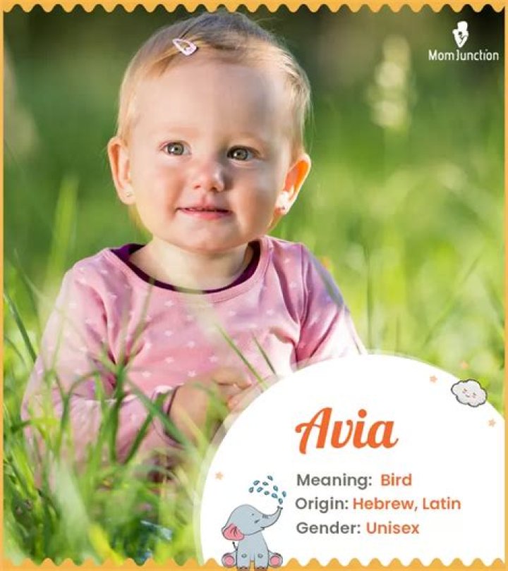 Avia Meaning in English, Avia Baby Name Origin Gender Meaning Pronunciation