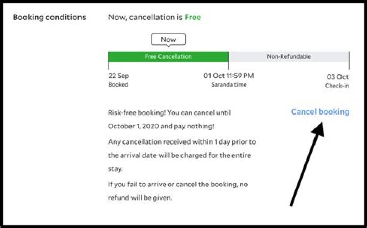 Can You Cancel a Priceline Booking? Policies, Fees, and Options