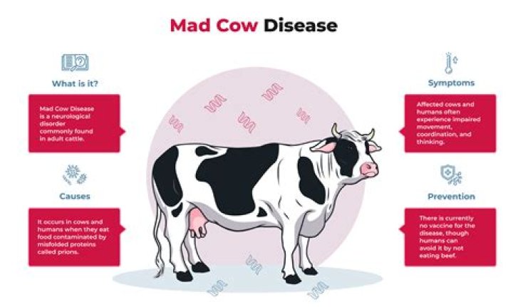 CNN.com - Mad cow disease found in Azores