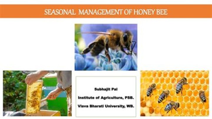 Colony Growth and Seasonal Management of Honey Bees