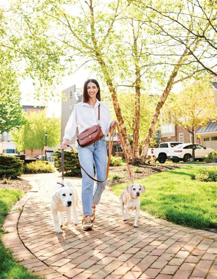 Denise Vasi Net Worth  - Pulptastic