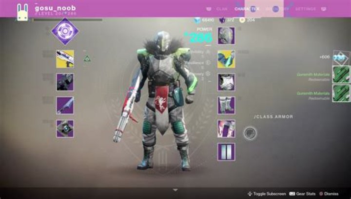 Destiny 2 Power Level 300