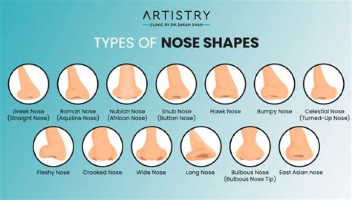 Different Nose Types & Shapes: Know Which One Is Yours