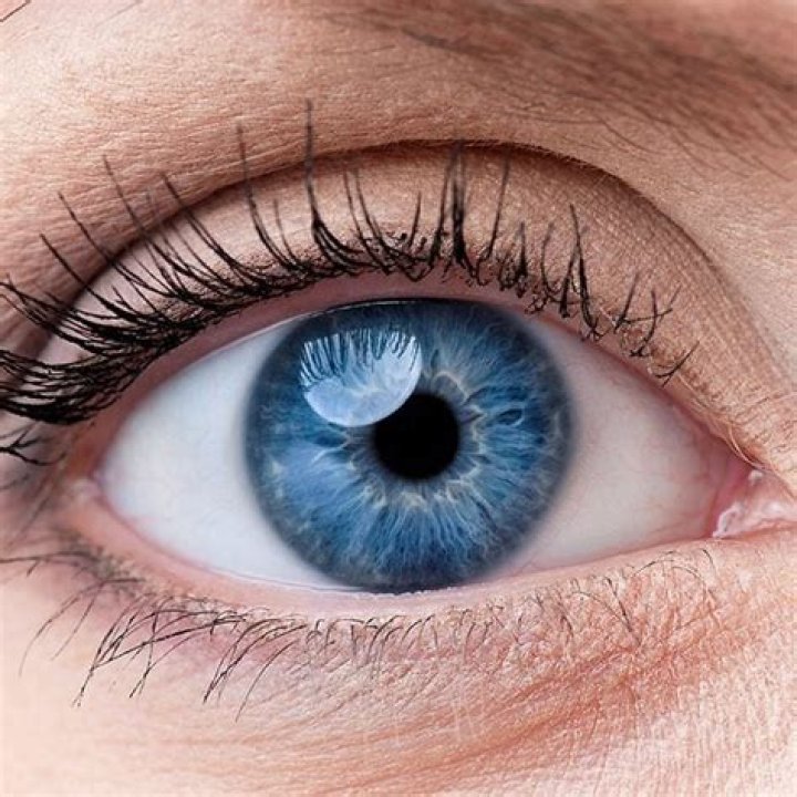 ¿el color de ojos más atractivo?