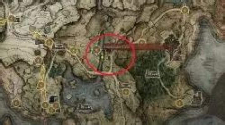 Elden Ring Patches chests, Murkwater Cave Location