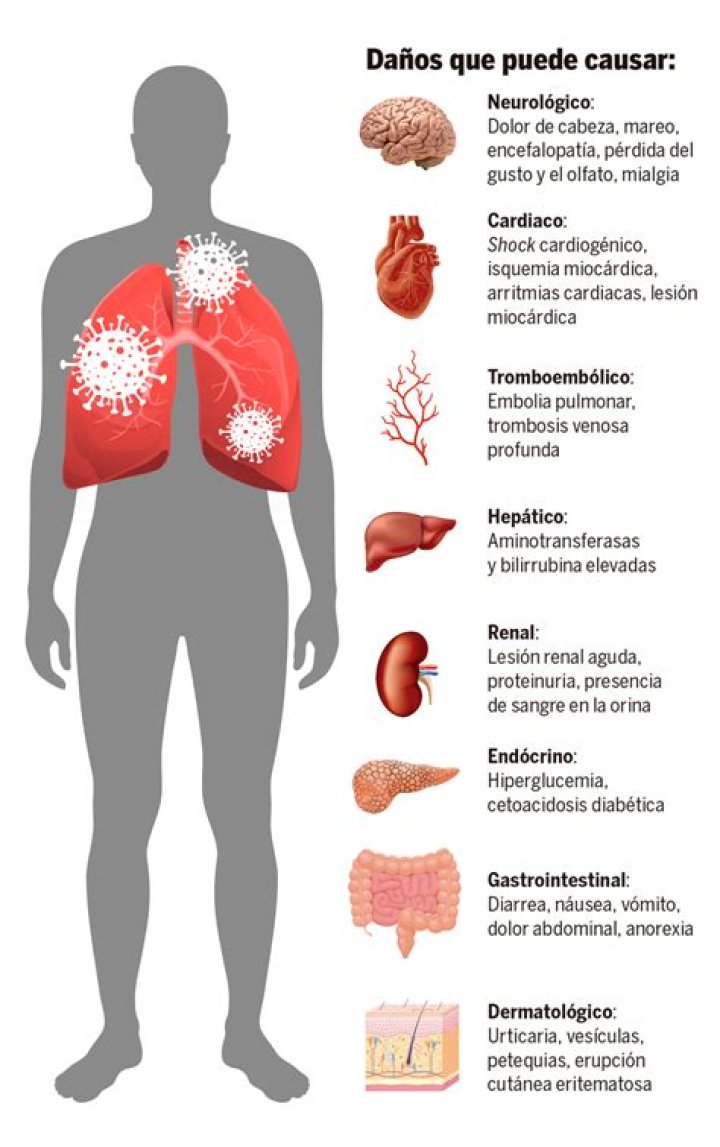 ¿en qué enfermedades puede ser útil?