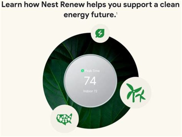 Google launches Nest Renew to help you save money, use cleaner energy