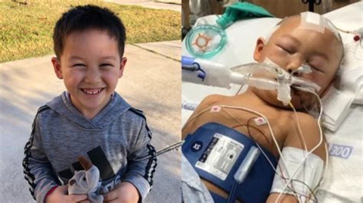 Heartbreaking Loss: 6-Year-Old Jeremy Diaz Dies After Alleged Baseball Bat Attack by Neighbor