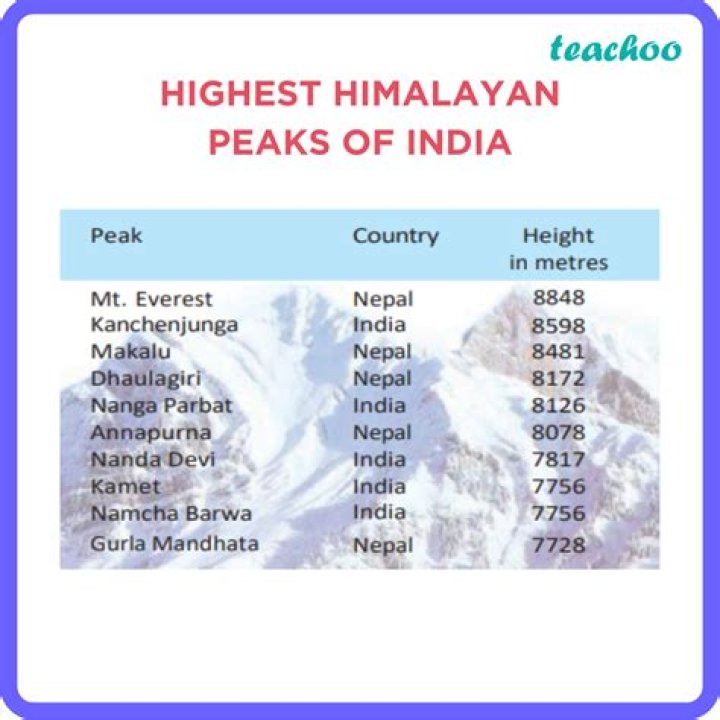 Higher Love – Ascending the Peaks of Passion and Connectivity
