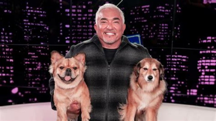 How much does Cesar Millan charge for his dog services?