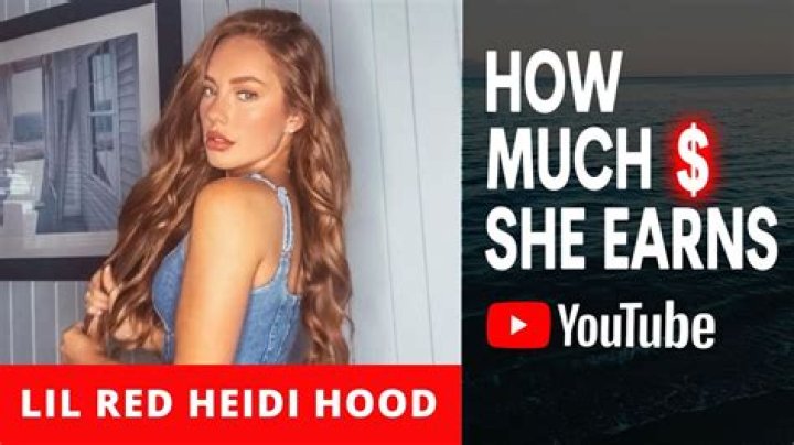 How Much Is Heidi Hamilton Worth