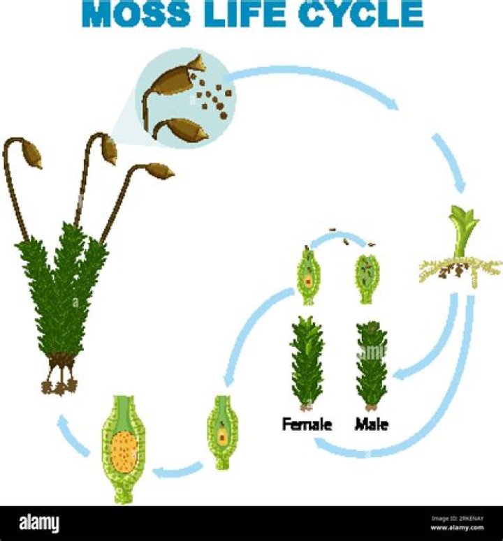 How Much Is Lyfe Jennings Worth