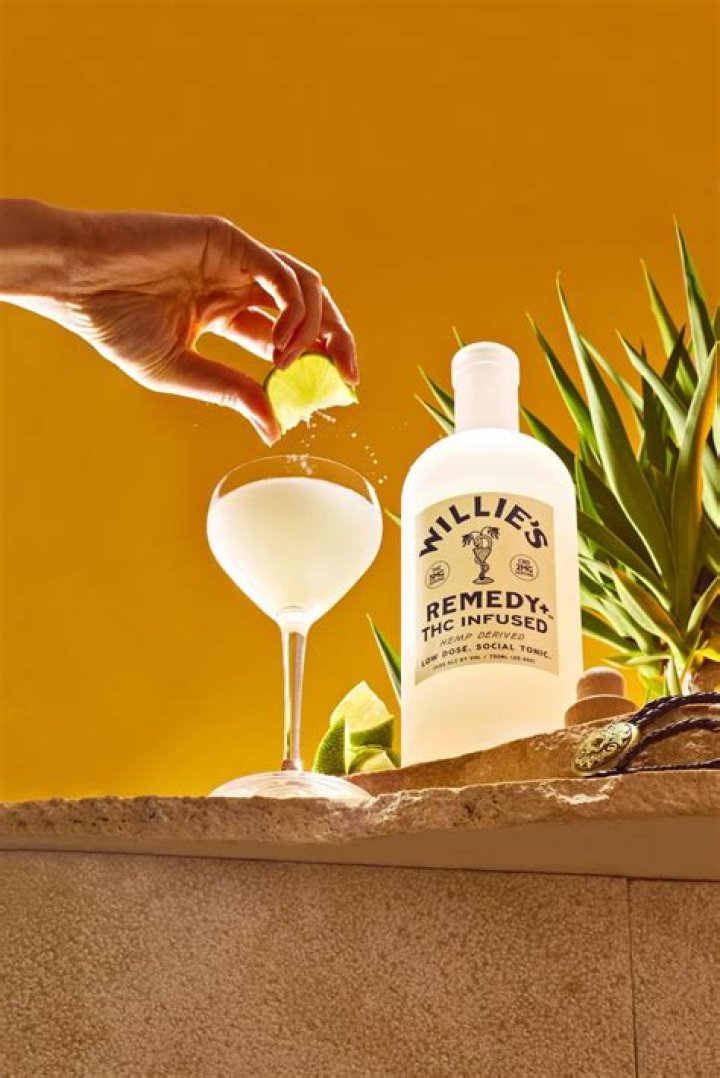 How Much Is Willie Geist Worth