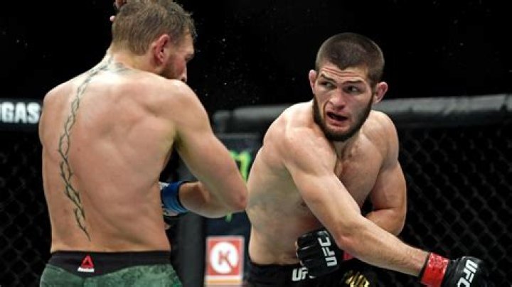 How Much Money Did Khabib Nurmagomedov Make vs. Conor McGregor at UFC 229?