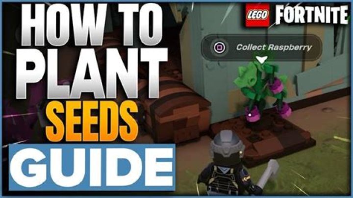 How to Plant Seeds in Lego Fortnite