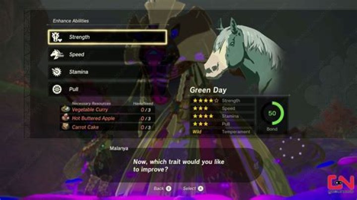 How to Upgrade Horse Zelda Tears of the Kingdom