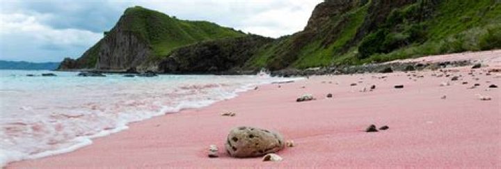Indonesia's Pink Beach on Komodo Island Among World's Best Beaches
