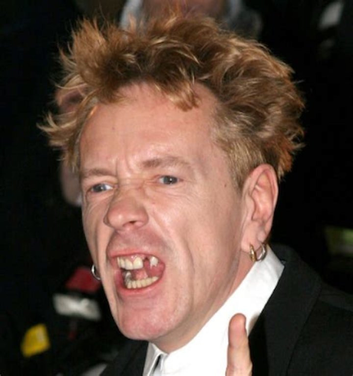 Johnny Rotten Net Worth  - Pulptastic