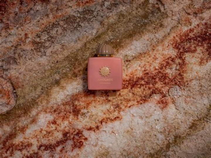 Jonny – A Deep Dive into Love’s Labyrinth