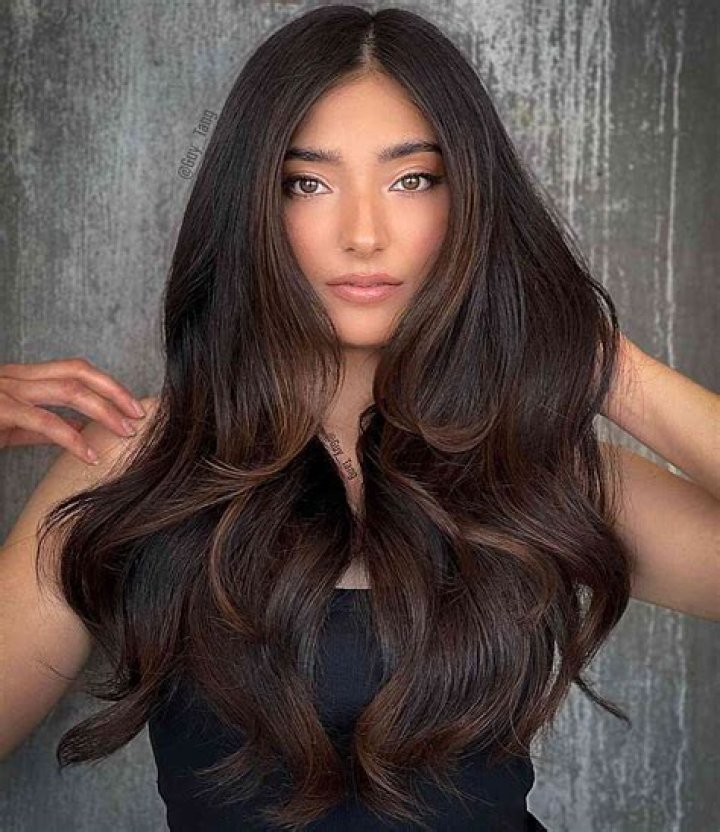 Kylie Jenner Dyes Her Hair Chocolate Brown