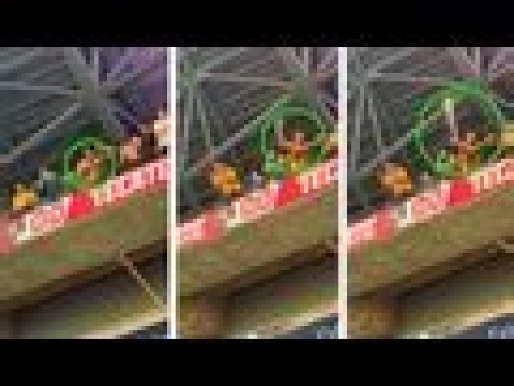 Liga MX 2024: Captan a aficionado de Tigres orinando en vaso para arrojarlo a otro de Rayados; investigan quién es - VIDEO
