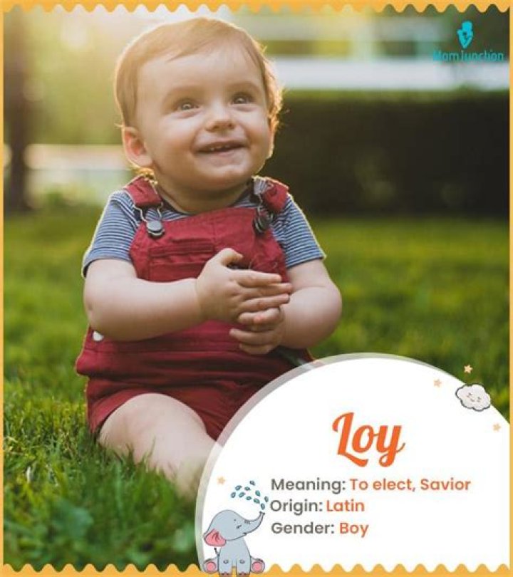 Loy Meaning in English, Loy Baby Name Origin Gender Meaning Pronunciation