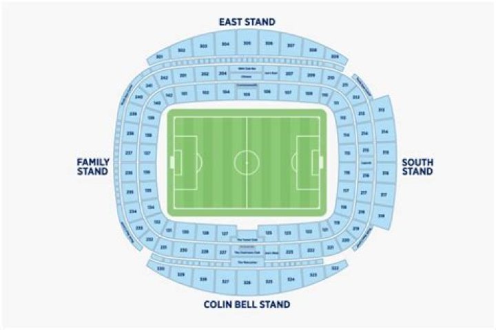 Manchester City's spending spree continues as Milner signs