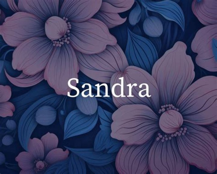 Meaning of “Sandra’s Rose” by Drake