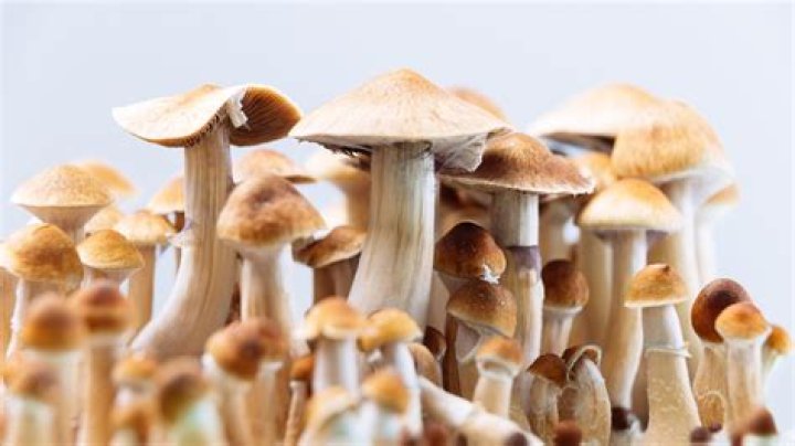 Naked woman attacks Chilean airport passengers after taking hallucinogenic mushrooms