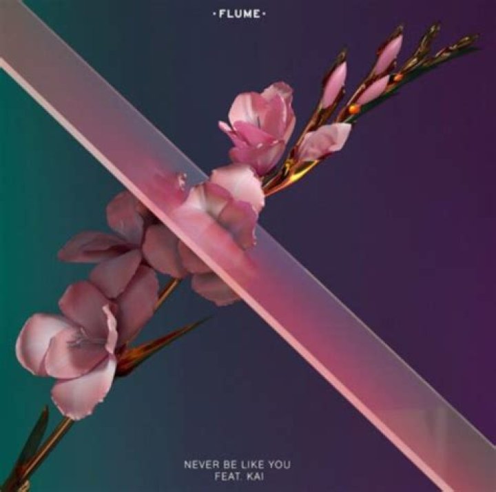 “Never Be like You” by Flume (ft. Kai)