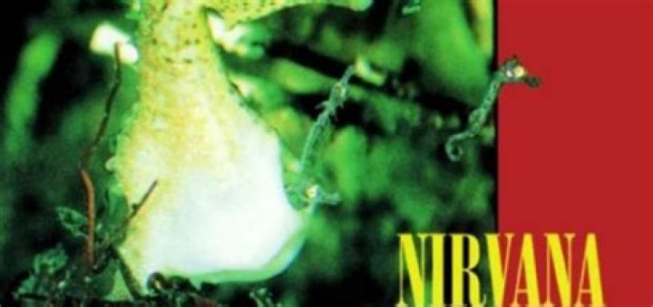 Nirvana’s “Come As You Are” Lyrics Meaning