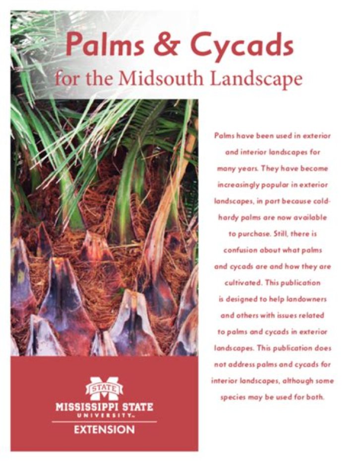 Palms & Cycads for the Midsouth Landscape